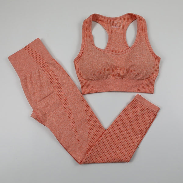 12 Colors Ombre Seamless Yoga Set with Long Sleeve Shirt